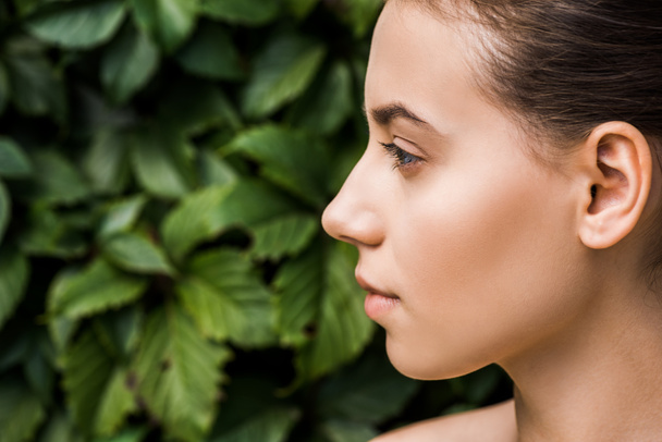 profile of young woman with green leaves at background  - Fotoğraf, Görsel