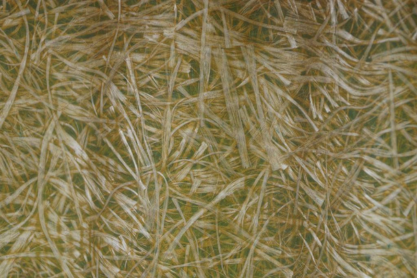 Legno compensato grigio marrone in parete di plastica con paglia in colla congelata
 - Foto, immagini