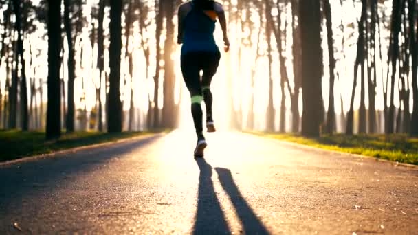 Young woman stands and gets ready to run. She is slim and well-built. Girl starts to run. She is jogging very fast. Girl dissapears in sunlight - Footage, Video
