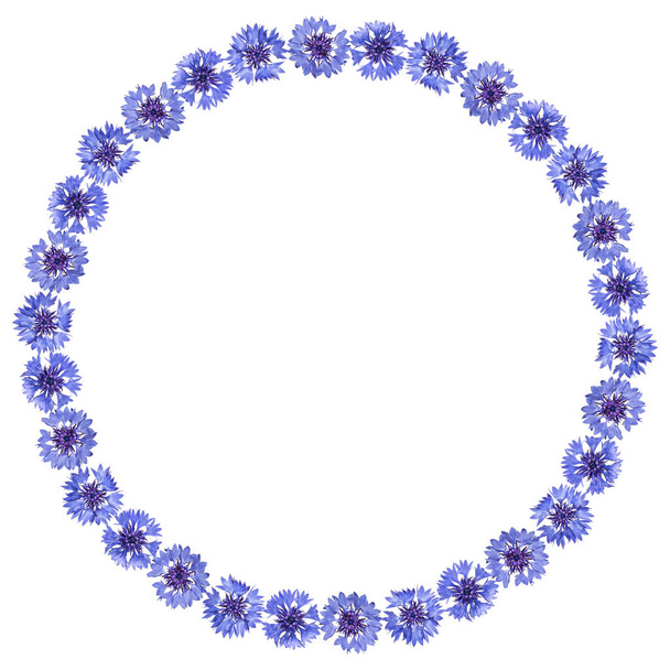 Round frame of cornflowers on a white background. - Foto, afbeelding