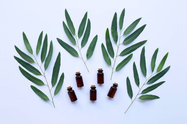 Eukalyptusölflasche mit Blättern auf weißem Hintergrund. - Foto, Bild