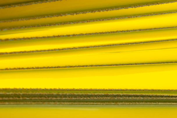 yellow palm leaf texture pattern - Fotó, kép