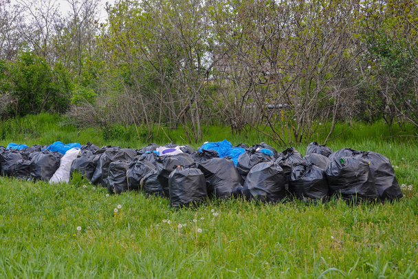 Полный мешок мусора. Мусорные мешки в парке. Очистка парка от мусора
 - Фото, изображение