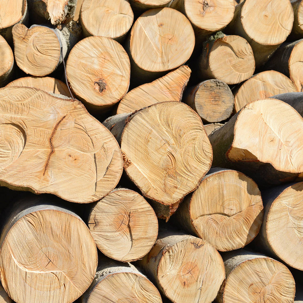 pile of wood logs, timber background - Photo, image