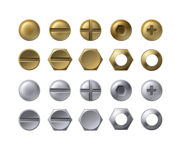Steel and brass heads - Vector, Image
