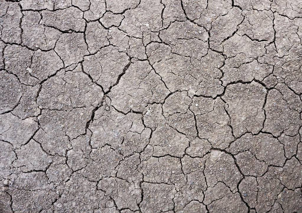 Surface dried cracked earth - Photo, Image