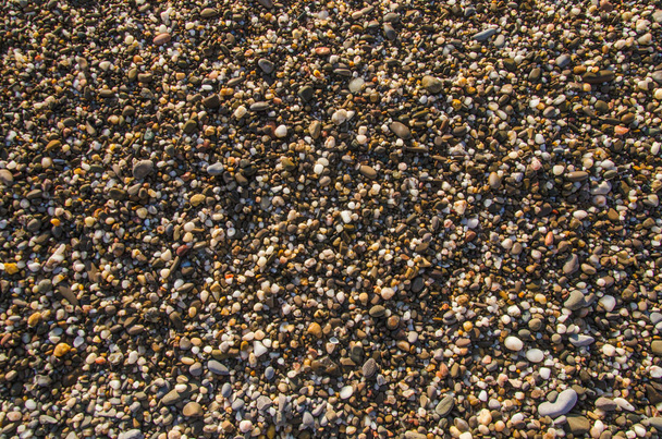 guijarro de mar con concha marina en la playa
 - Foto, imagen