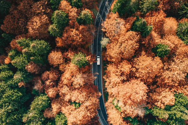 Auto tiellä metsän ympäröimänä syksyllä. Karpaattien vuoristo, Romania
 - Valokuva, kuva