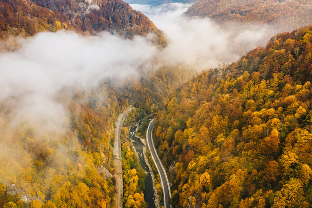 neblige Bergstraße mitten im Wald an einem kalten Herbstmorgen - Foto, Bild