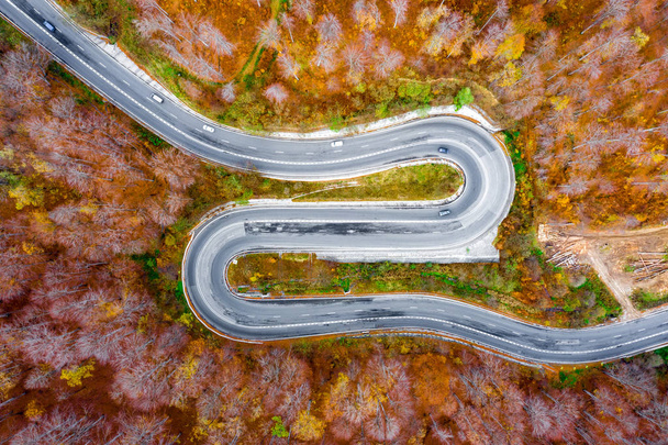 Winding road in the forest. Aerial view in the middle of autumn season - Photo, Image