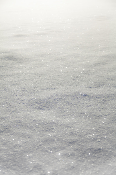 Shiny White Snow Carpet - Foto, Imagen