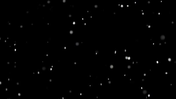 Fehér hó esik izolált fekete háttér - Felvétel, videó