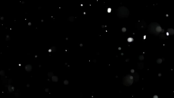 Witte sneeuw vallen op geïsoleerde zwarte achtergrond - Video