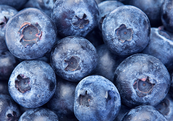 Blueberry berry closeup - Фото, изображение