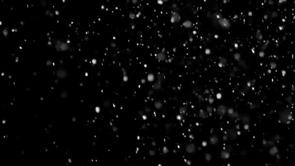 孤立した黒の背景に白い雪が降る - 映像、動画