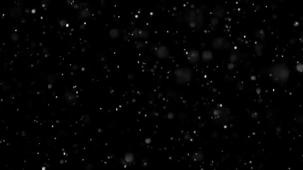 White Snow Falling na odizolowanym czarnym tle - Materiał filmowy, wideo