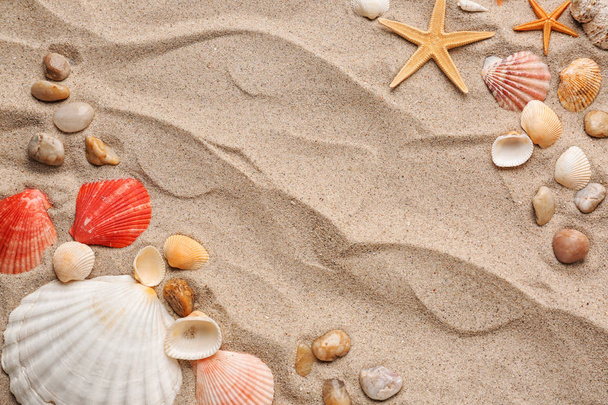 Состав с различными морскими раковинами и морскими звездами на песке
 - Фото, изображение