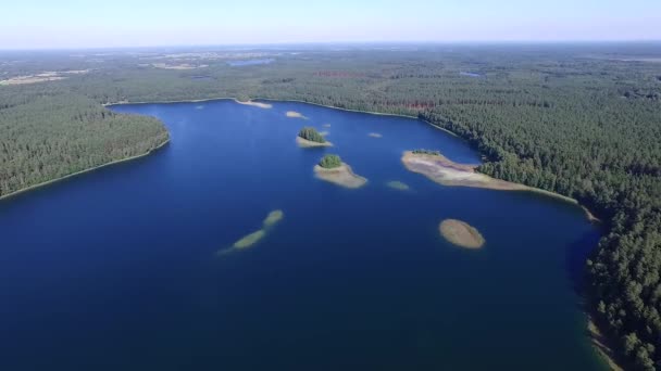 flight over the lake near forest - Footage, Video