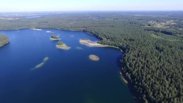 Járatra, erdő közelében a tó felett - Felvétel, videó