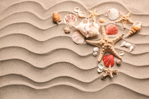 Композиція з різними морськими мушлями і морськими зірками на піску
 - Фото, зображення