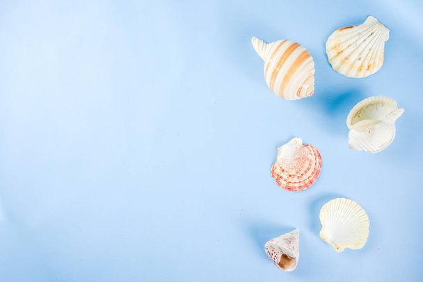 Summer vacation concept, layout, seashells on bright blue yellow background top view simple pattern - Fotoğraf, Görsel