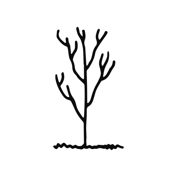 tree icon. isolated object sketch black on white background. - Vektor, obrázek
