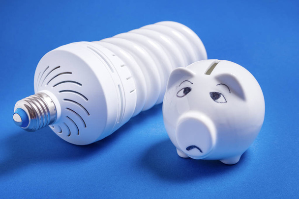 energy saving lamp and piggy bank on colored backgroun - Foto, Imagen