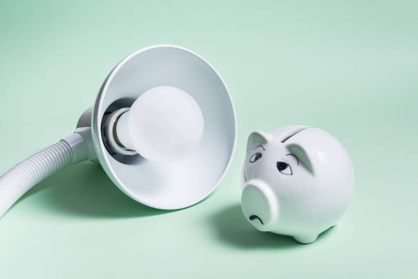 energy saving lamp and piggy bank on colored backgroun - Foto, Imagen