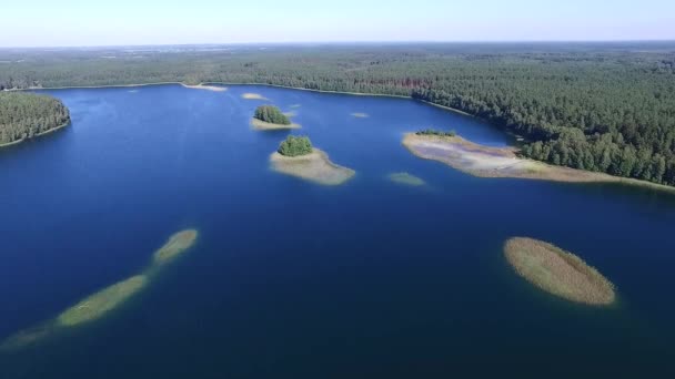Panorama na jezioro w pobliżu lasu - Materiał filmowy, wideo