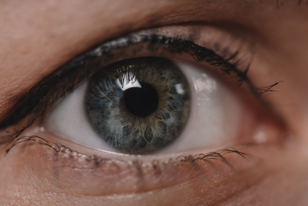 обрезанный снимок женского глаза, смотрящего в камеру
 - Фото, изображение