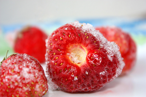 Strawberries - Fotografie, Obrázek