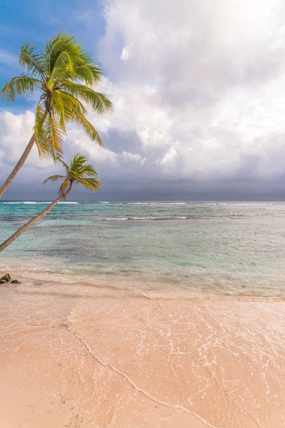     Guadeloupe, Marie-Galante Island, denizde günbatımı pembe bir kum plajı güzel Panoraması  - Fotoğraf, Görsel