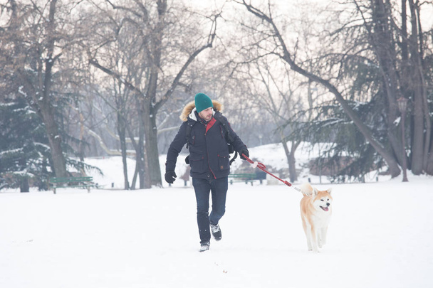 Man and his beautiful dog akita walking on snow. Holiday and winter concept - Photo, image