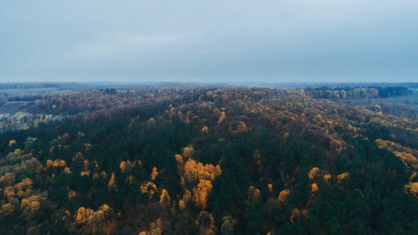 Letecký pohled na les. Stromy na podzim. - Fotografie, Obrázek