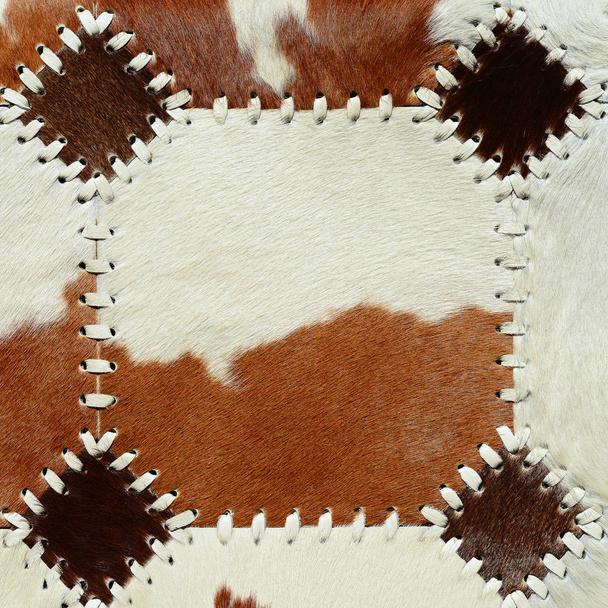 Detail from cow skin rug - Photo, Image