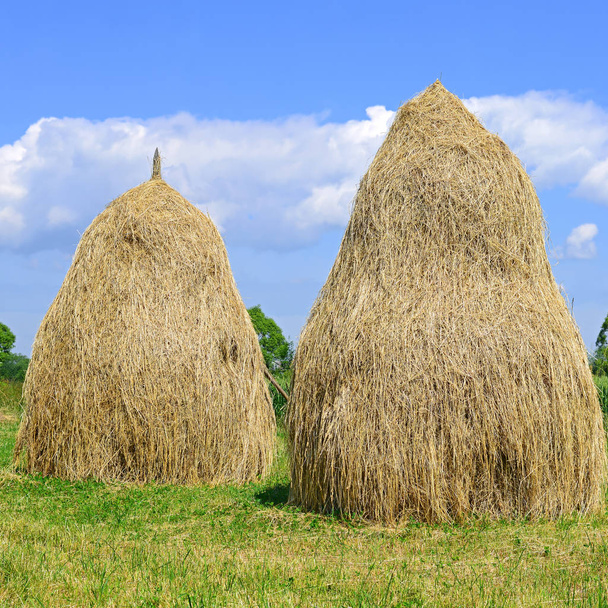 El heno en las pilas en el paisaje veraniego rural
 - Foto, imagen