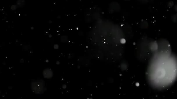 Білий сніг падає на ізольований чорний фон
 - Кадри, відео