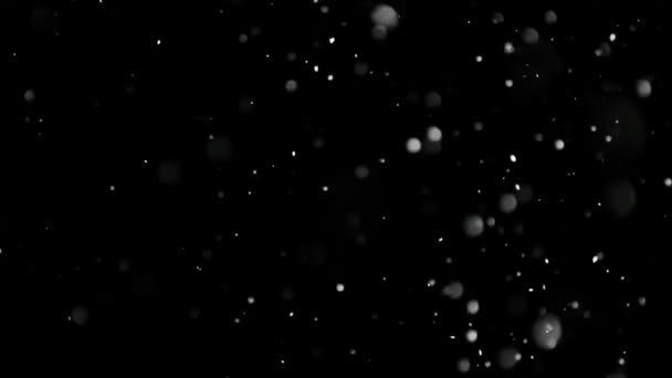 Λευκό χιόνι πέφτει σε απομονωμένο μαύρο φόντο - Πλάνα, βίντεο