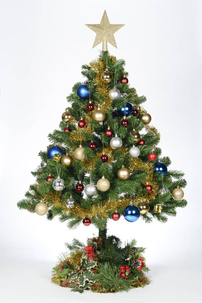 Beyaz üzerine izole edilmiş Noel Ağacı  - Fotoğraf, Görsel