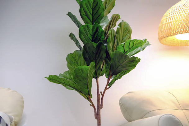 Artificial green ficus tree, detail of the interior. Leather sofa and lamp. - Fotó, kép
