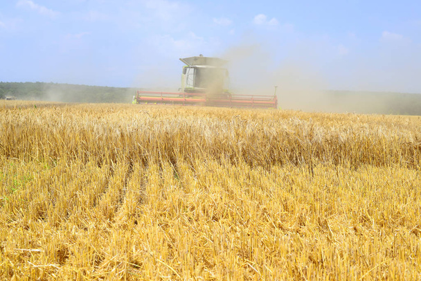 combine harvester working at wheat field, harvesting in the countryside - Foto, immagini