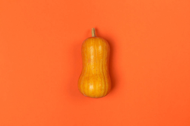 Small decorative pumpkin on bright orange background, top view - Foto, immagini