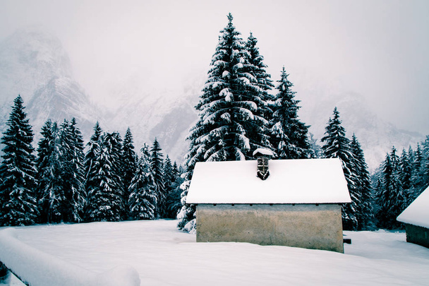 Yılın ilk karı İtalyan Alpleri'nde - Fotoğraf, Görsel