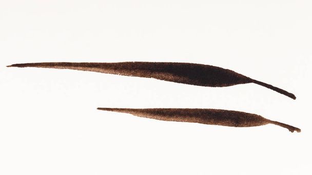 малюнок рук у стилі сумі-е на кремовому папері бамбукове листя, намальоване коричневими акварелями
 - Фото, зображення