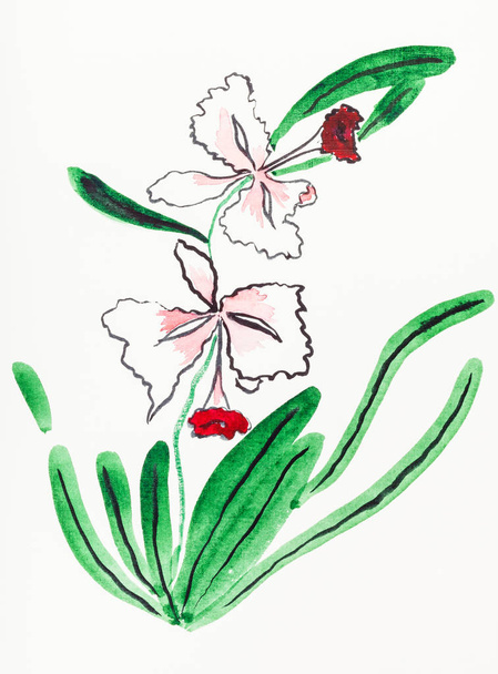 ручний живопис в стилі сумі-е на кремовому папері - кольорова орхідея квітка, намальована акварелями
 - Фото, зображення