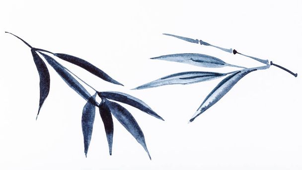 pintura a mano en estilo sumi-e sobre papel blanco - ramitas de bambú dibujadas por acuarelas negras
 - Foto, Imagen