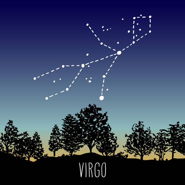 Virgo hand drawn Zodiac sign constellation in a twilight sky over the deciduous forest. Vector graphics astrology illustration. Western horoscope mystic symbol in nature. - Διάνυσμα, εικόνα