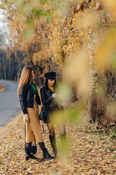 due accoglienti ragazze sorridenti passeggiano sulla strada del parco autunnale e fanno foto
 - Foto, immagini