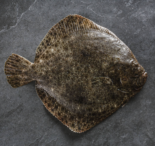 Pesce flounder intero crudo su sfondo pietra scura, vista dall'alto
 - Foto, immagini
