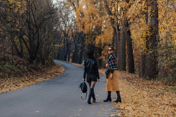 zwei gemütlich lächelnde junge Mädchen spazieren an der herbstlichen Parkstraße und machen Fotos - Foto, Bild